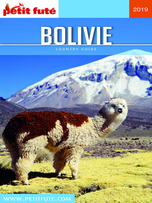 cover image of BOLIVIE 2019/2020 Petit Futé